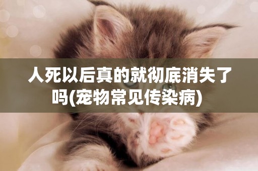 人死以后真的就徹底消失了嗎(寵物常見傳染病) 
