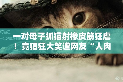 一對母子抓貓射橡皮筋狂虐！竟猖狂大笑遭網友“人肉” 