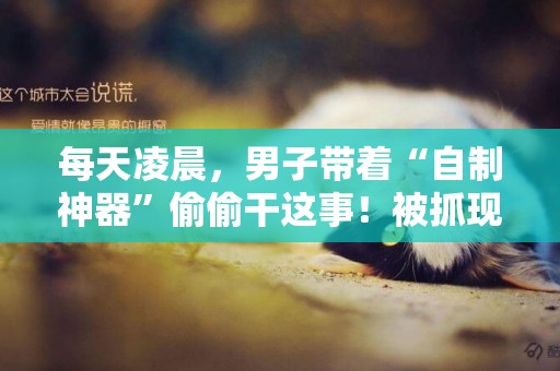 每天凌晨，男子帶著“自制神器”偷偷干這事！被抓現行后，警察驚呆了 
