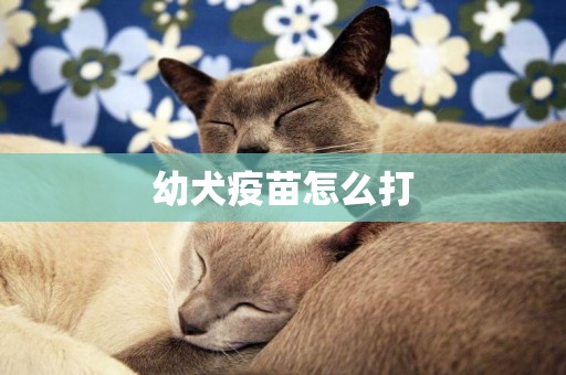 幼犬疫苗怎么打