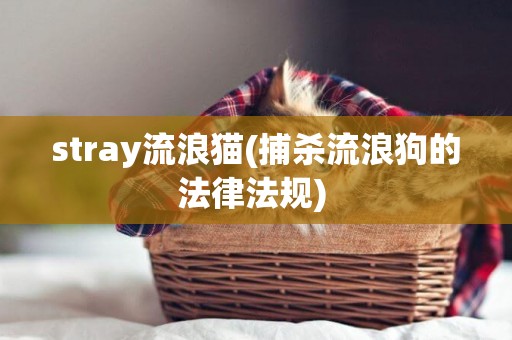 stray流浪貓(捕殺流浪狗的法律法規) 