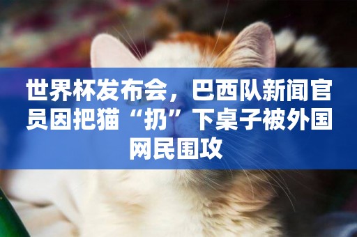 世界杯發布會，巴西隊新聞官員因把貓“扔”下桌子被外國網民圍攻 