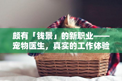頗有「錢景」的新職業——寵物醫生，真實的工作體驗是怎么樣的？ 