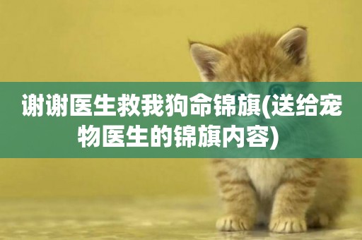 謝謝醫生救我狗命錦旗(送給寵物醫生的錦旗內容) 