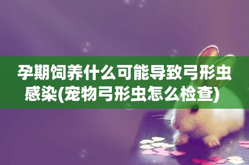 孕期飼養什么可能導致弓形蟲感染(寵物弓形蟲怎么檢查) 