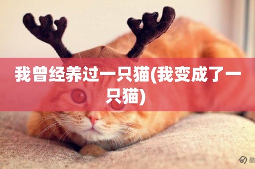 我曾經養過一只貓(我變成了一只貓) 