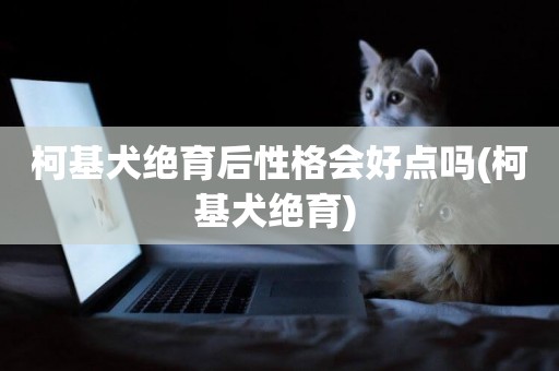 柯基犬絕育后性格會好點嗎(柯基犬絕育) 