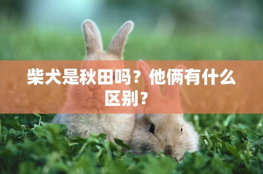 柴犬是秋田嗎？他倆有什么區別？ 