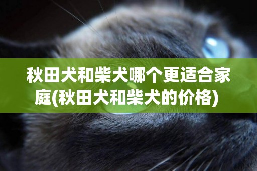 秋田犬和柴犬哪個更適合家庭(秋田犬和柴犬的價格) 