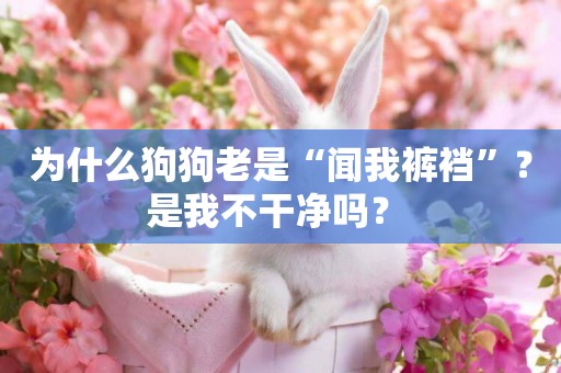 為什么狗狗老是“聞我褲襠”？是我不干凈嗎？ 