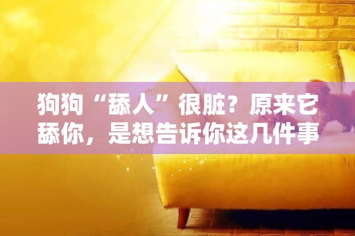 狗狗“舔人”很臟？原來它舔你，是想告訴你這幾件事 