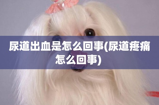 尿道出血是怎么回事(尿道疼痛怎么回事) 