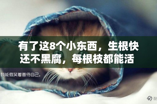 有了這8個小東西，生根快還不黑腐，每根枝都能活 