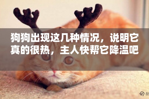 狗狗出現這幾種情況，說明它真的很熱，主人快幫它降溫吧 