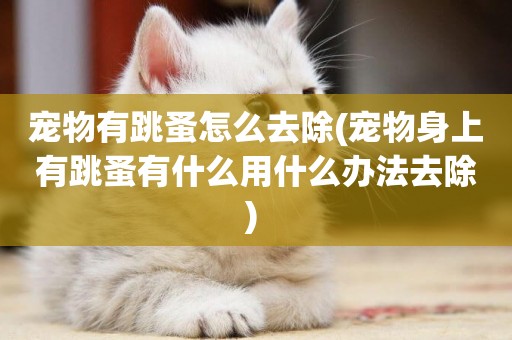 寵物有跳蚤怎么去除(寵物身上有跳蚤有什么用什么辦法去除) 