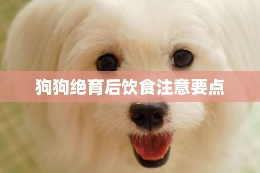 狗狗絕育后飲食注意要點