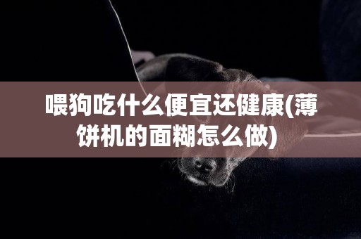 喂狗吃什么便宜還健康(薄餅機的面糊怎么做) 