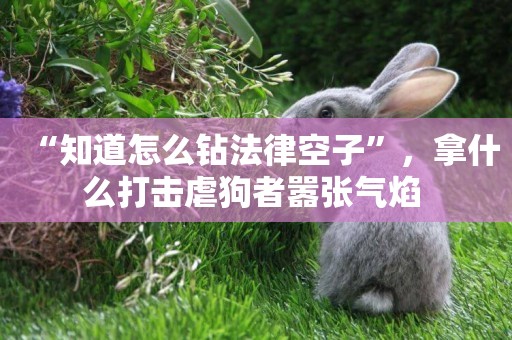 “知道怎么鉆法律空子”，拿什么打擊虐狗者囂張氣焰 