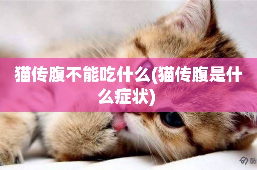 貓傳腹不能吃什么(貓傳腹是什么癥狀) 