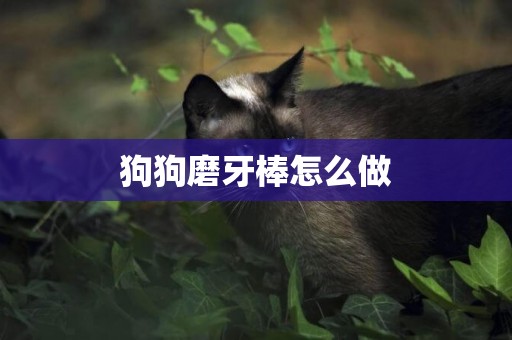 狗狗磨牙棒怎么做