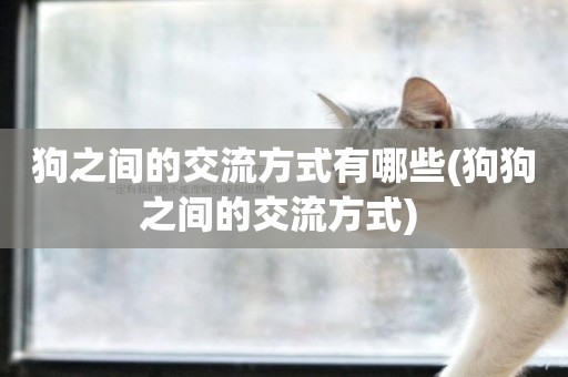 狗之間的交流方式有哪些(狗狗之間的交流方式) 
