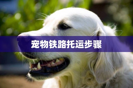 寵物鐵路托運步驟