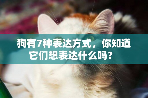 狗有7種表達方式，你知道它們想表達什么嗎？ 