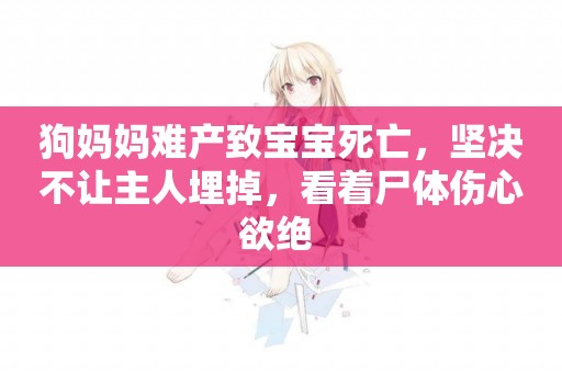 狗媽媽難產致寶寶死亡，堅決不讓主人埋掉，看著尸體傷心欲絕 