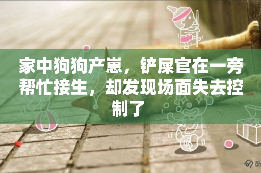 家中狗狗產崽，鏟屎官在一旁幫忙接生，卻發現場面失去控制了 