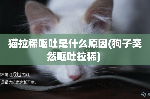 貓拉稀嘔吐是什么原因(狗子突然嘔吐拉稀) 