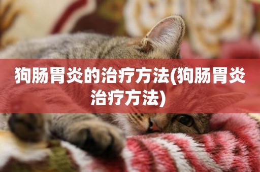 狗腸胃炎的治療方法(狗腸胃炎治療方法) 