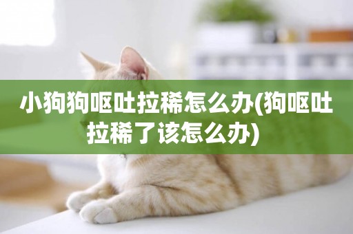 小狗狗嘔吐拉稀怎么辦(狗嘔吐拉稀了該怎么辦) 