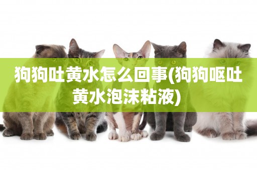 狗狗吐黃水怎么回事(狗狗嘔吐黃水泡沫粘液) 
