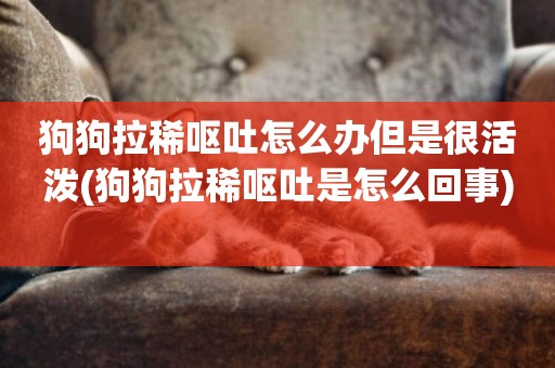 狗狗拉稀嘔吐怎么辦但是很活潑(狗狗拉稀嘔吐是怎么回事) 