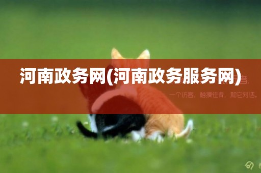 河南政務網(河南政務服務網) 