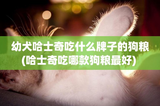 幼犬哈士奇吃什么牌子的狗糧(哈士奇吃哪款狗糧最好) 