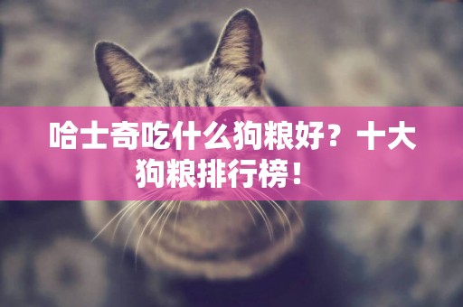 哈士奇吃什么狗糧好？十大狗糧排行榜！ 