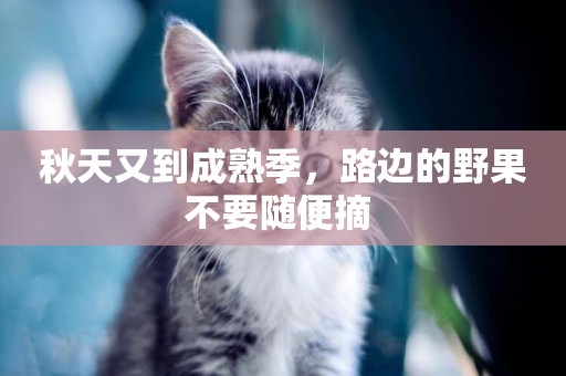 秋天又到成熟季，路邊的野果不要隨便摘 