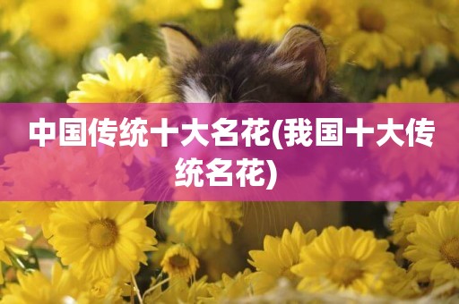 中國傳統十大名花(我國十大傳統名花) 