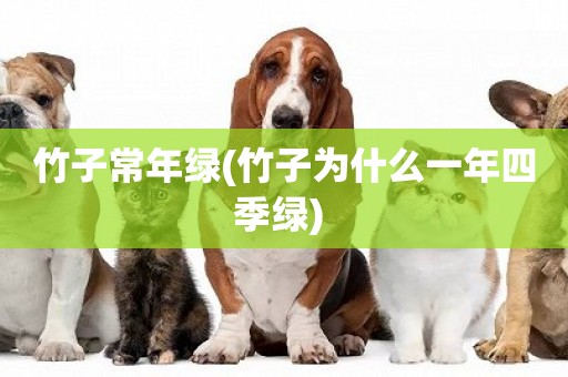 竹子常年綠(竹子為什么一年四季綠) 