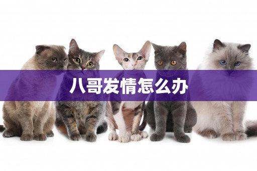 八哥發情怎么辦