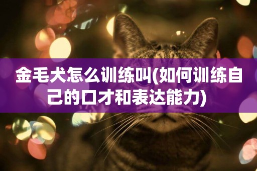 金毛犬怎么訓練叫(如何訓練自己的口才和表達能力) 