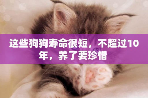 這些狗狗壽命很短，不超過10年，養了要珍惜 