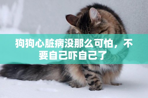 狗狗心臟病沒那么可怕，不要自己嚇自己了 