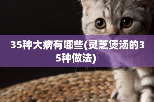 35種大病有哪些(靈芝煲湯的35種做法) 
