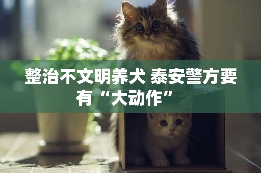 整治不文明養犬 泰安警方要有“大動作” 