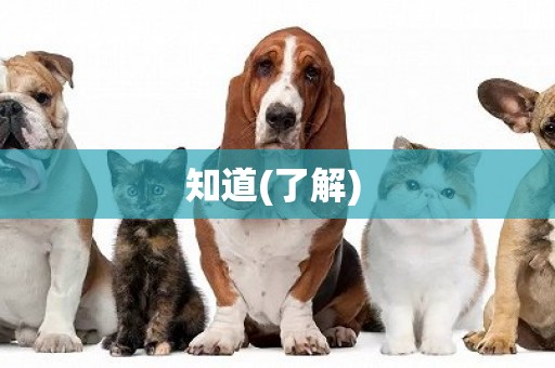 知道(了解) 