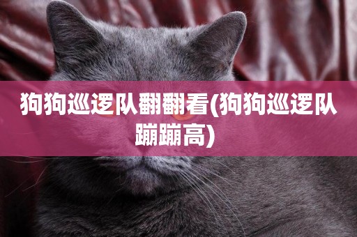 狗狗巡邏隊翻翻看(狗狗巡邏隊蹦蹦高) 