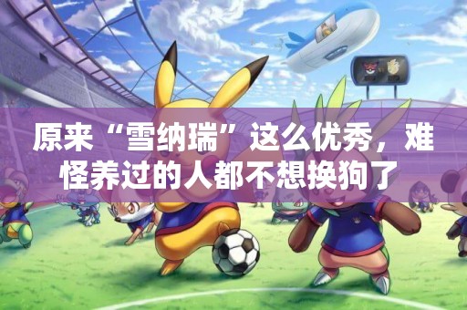原來“雪納瑞”這么優秀，難怪養過的人都不想換狗了 
