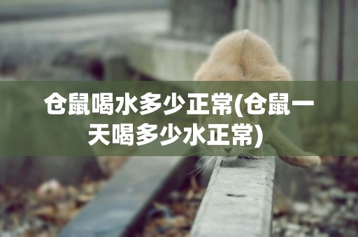 倉鼠喝水多少正常(倉鼠一天喝多少水正常) 